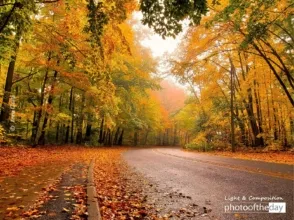 A World of Octobers by Anna Cicala