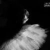 The Swan by Evdokiya Witwicki - Art Photography, Photo of the Day, Award-Winning Photography, Evdokiya Witwicki, Photography Awards