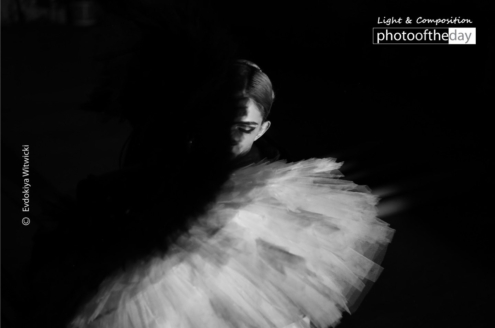 The Swan by Evdokiya Witwicki - Art Photography, Photo of the Day, Award-Winning Photography, Evdokiya Witwicki, Photography Awards