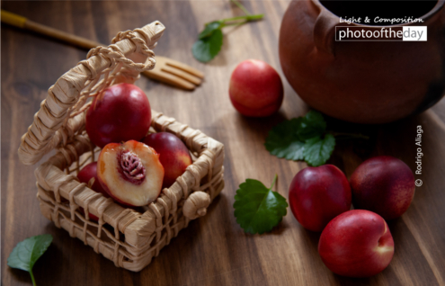 Ready to Cook Peach Jam by Rodrigo Aliaga - Food Photography, Lighting Techniques, Online Photography Courses, Diploma in Photography, Photography Education