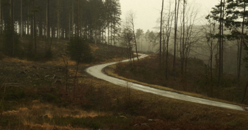 Road Through A Dying Landscape by Arnaud Vlaminck - Photojournalism, Art Photography, Nature Photography, Arnaud Vlaminck, Photography Awards