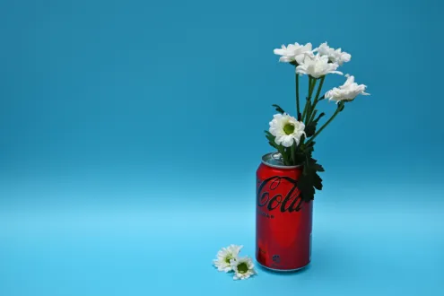 Sip of Daisies by Leanne Lindsay