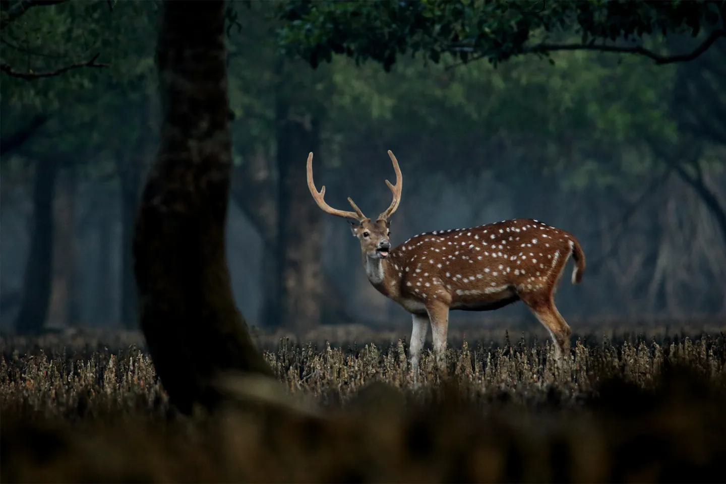 Photo of the Month — November 2023