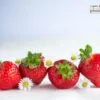 Strawberry Season by Catherine Ferraz - Food Photography, Art Photography, Photo of the Day, Photography Awards, Online Photography Courses