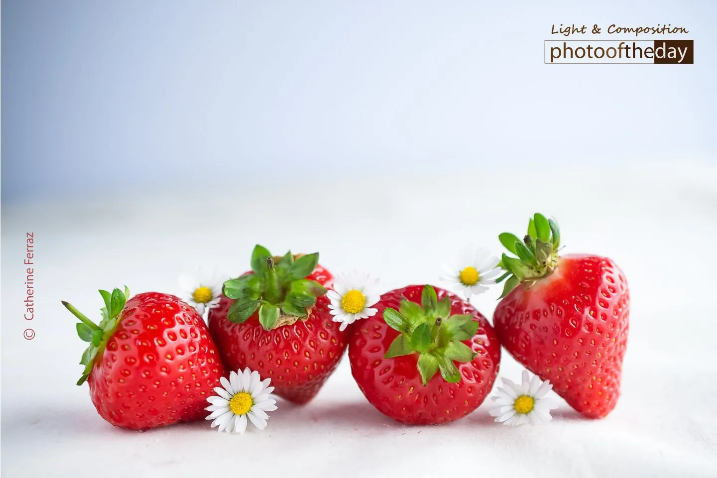 Strawberry Season by Catherine Ferraz - Food Photography, Art Photography, Photo of the Day, Photography Awards, Online Photography Courses