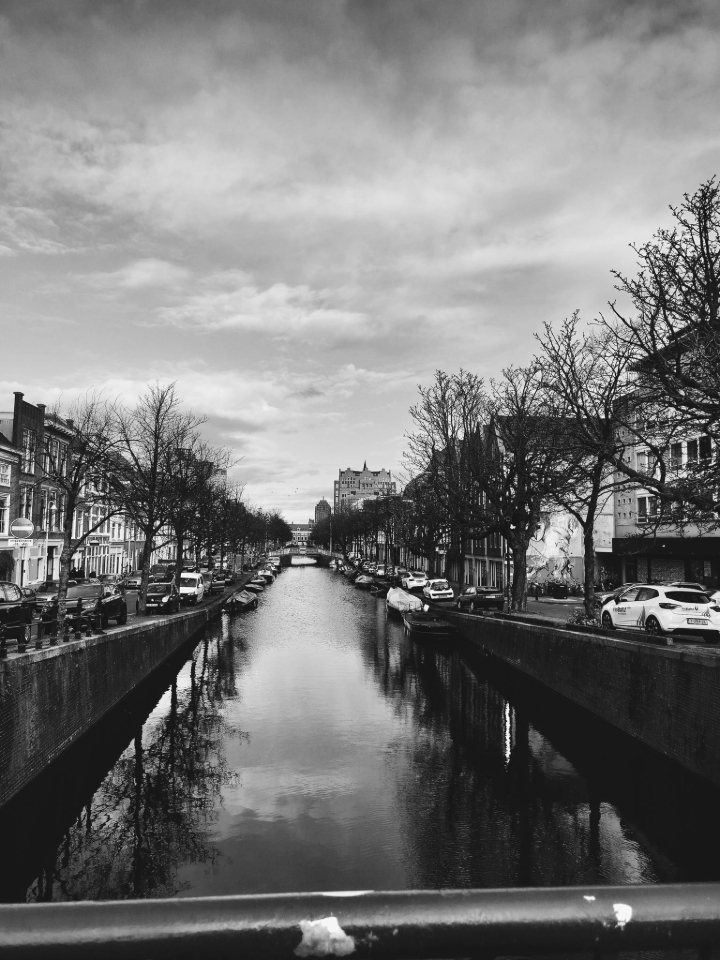 Taken for Granted Sights by Swati Iyer
