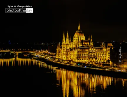 Photo of the Month — November 2022