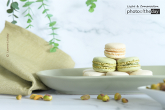 Vanilla and Pistachio Macarons by Leanne Lindsay