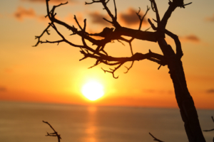 Wait for The Green Light by Kristel Sturrus - Sunset Photography, Caribbean Photography, Photo of the Day, Nature Photography, Photography Awards