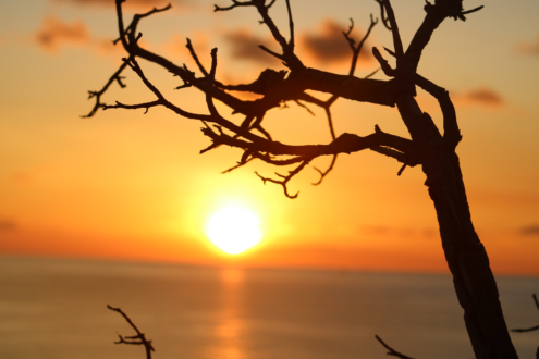 Wait for The Green Light by Kristel Sturrus - Sunset Photography, Caribbean Photography, Photo of the Day, Nature Photography, Photography Awards