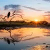 The Last Ray of Sun by Laura Marchetti