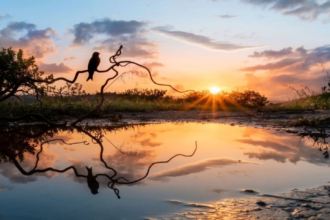 The Last Ray of Sun by Laura Marchetti - Sunset Photography, Photojournalism, Art Photography, Photography Awards, Online Photography Courses