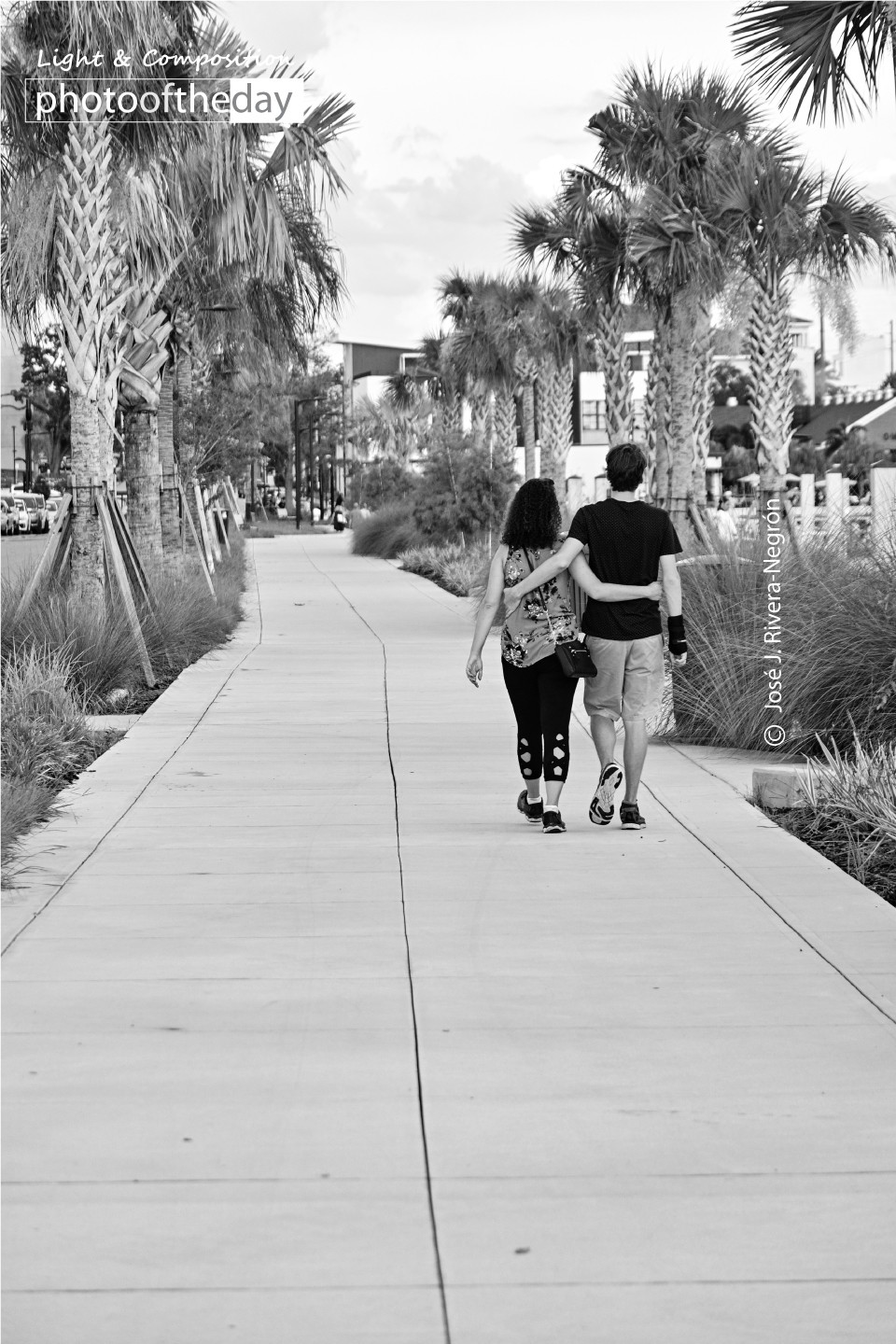 A Shot from the Back by Jose Juniel Rivera-Negron a shot from the back by jose juniel rivera