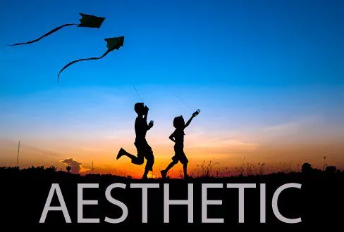 The Aesthetic Mind: Subject, Light, and the Professional Way of Seeing