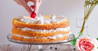 Simple Raspberry Cake by Jasna Verčko - Food Photography, Raspberry Cake, Cake Photography, Food Styling, Jasna Verčko