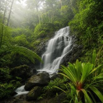 El Yunque – The Rainforest