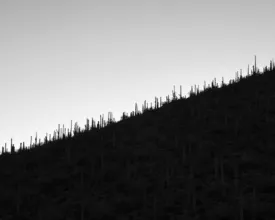 Tucson Twilight by Jack Hoye