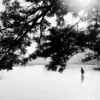 Morning Catch by Rafael Lorenzo de Leon - Photojournalism, Art Photography, Photography Awards, Rafael Lorenzo de Leon, Black and White Photography