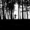 The Passage of Nature by Syed Asir Ha-Mim Brinto - The Passage of Nature,Syed Asir Ha-Mim Brinto,Photo of the Day,Nature