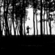 The Passage of Nature by Syed Asir Ha-Mim Brinto - The Passage of Nature,Syed Asir Ha-Mim Brinto,Photo of the Day,Nature