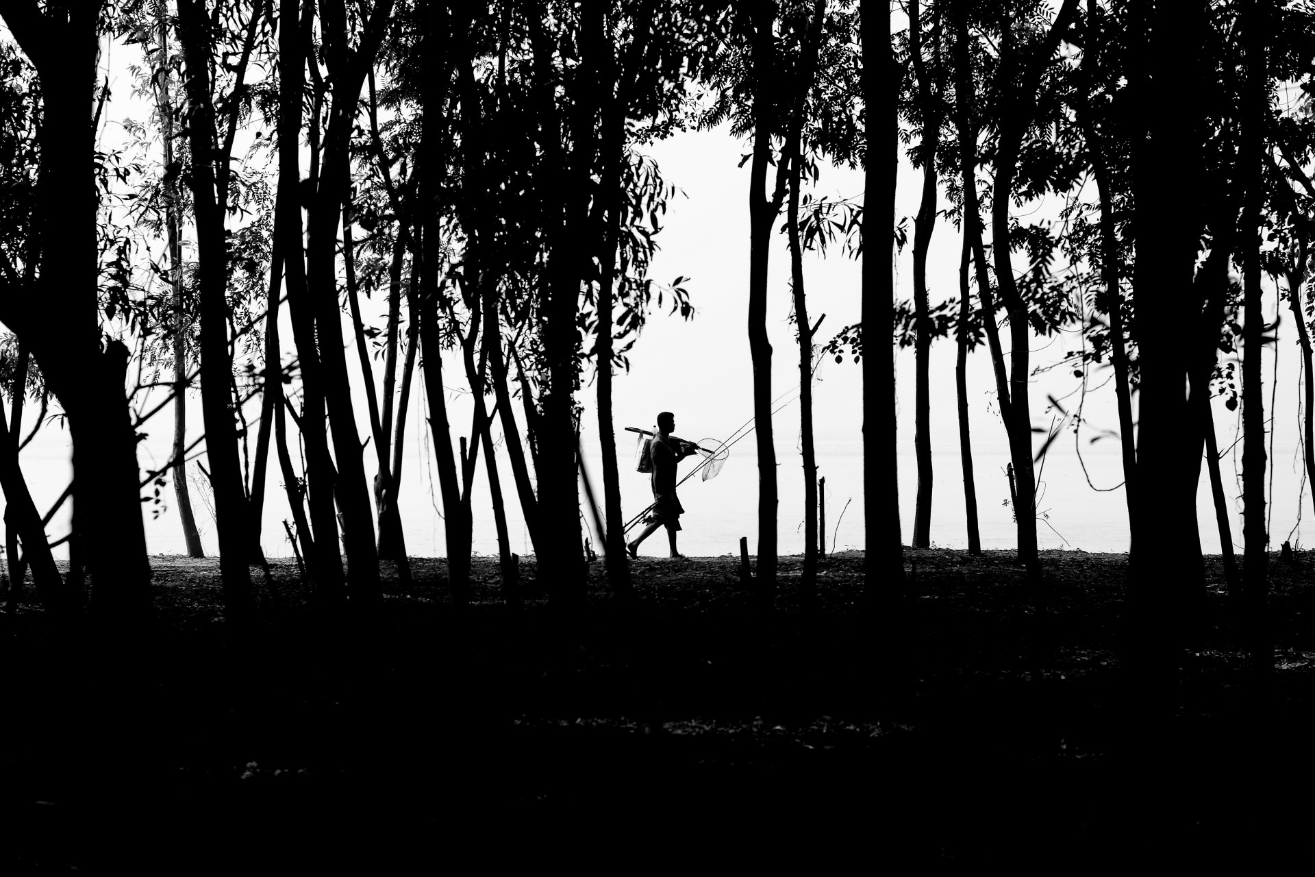 The Passage of Nature by Syed Asir Ha-Mim Brinto - The Passage of Nature,Syed Asir Ha-Mim Brinto,Photo of the Day,Nature