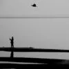 July 2025 from The Bird Who Saw It All by Syed Asir Ha-Mim Brinto
