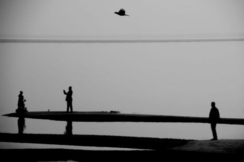 July 2025 from The Bird Who Saw It All by Syed Asir Ha-Mim Brinto