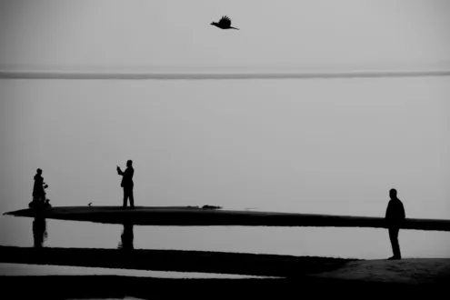 July 2025 from The Bird Who Saw It All by Syed Asir Ha-Mim Brinto
