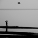 July 2025 from The Bird Who Saw It All by Syed Asir Ha-Mim Brinto