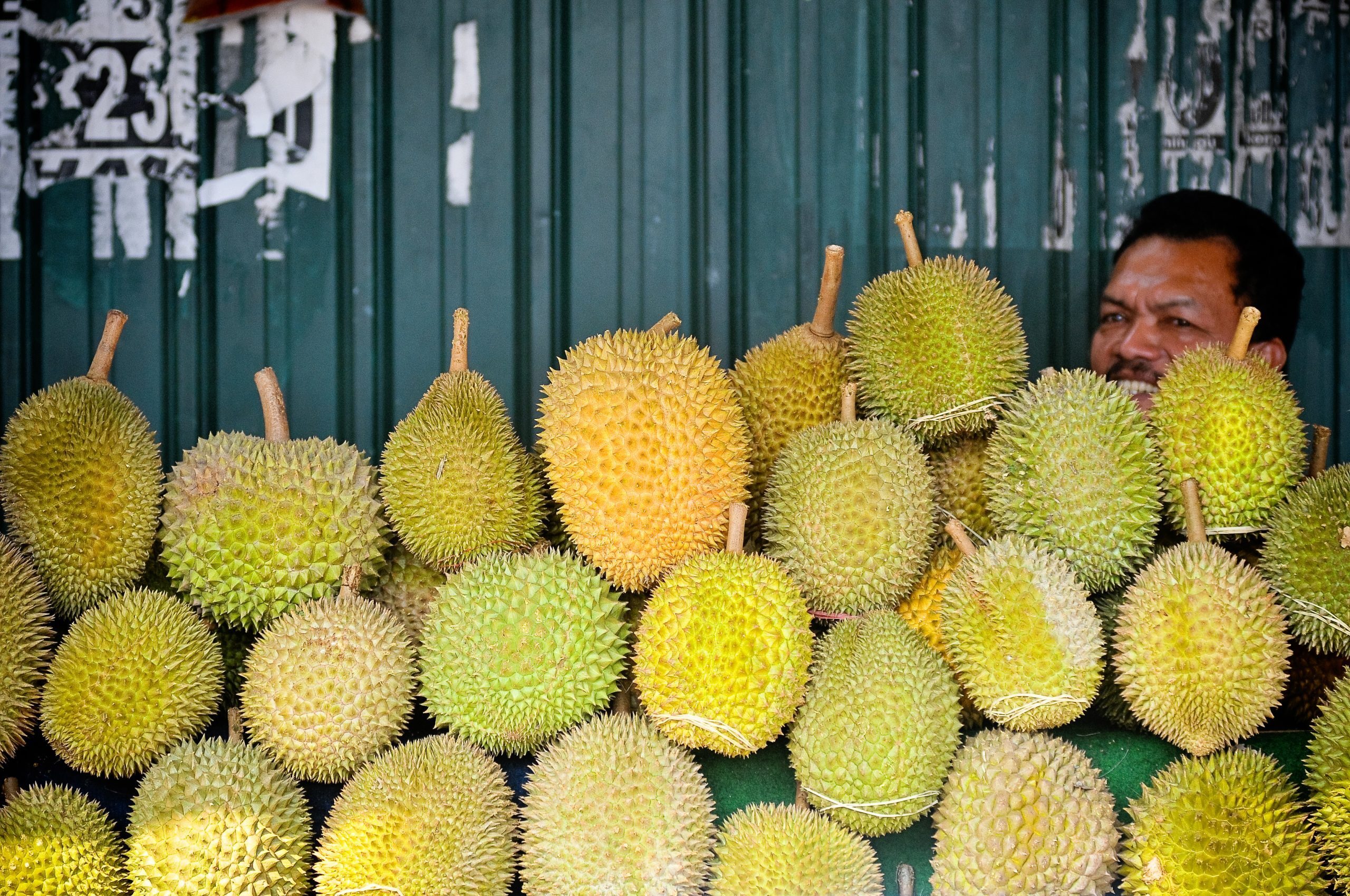 King of Fruits by Mohd Yumni