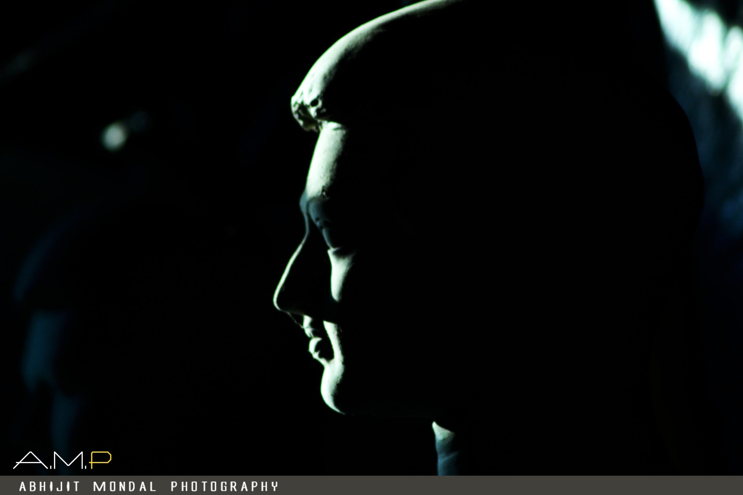 Light and Shade by Abhijit Mondal