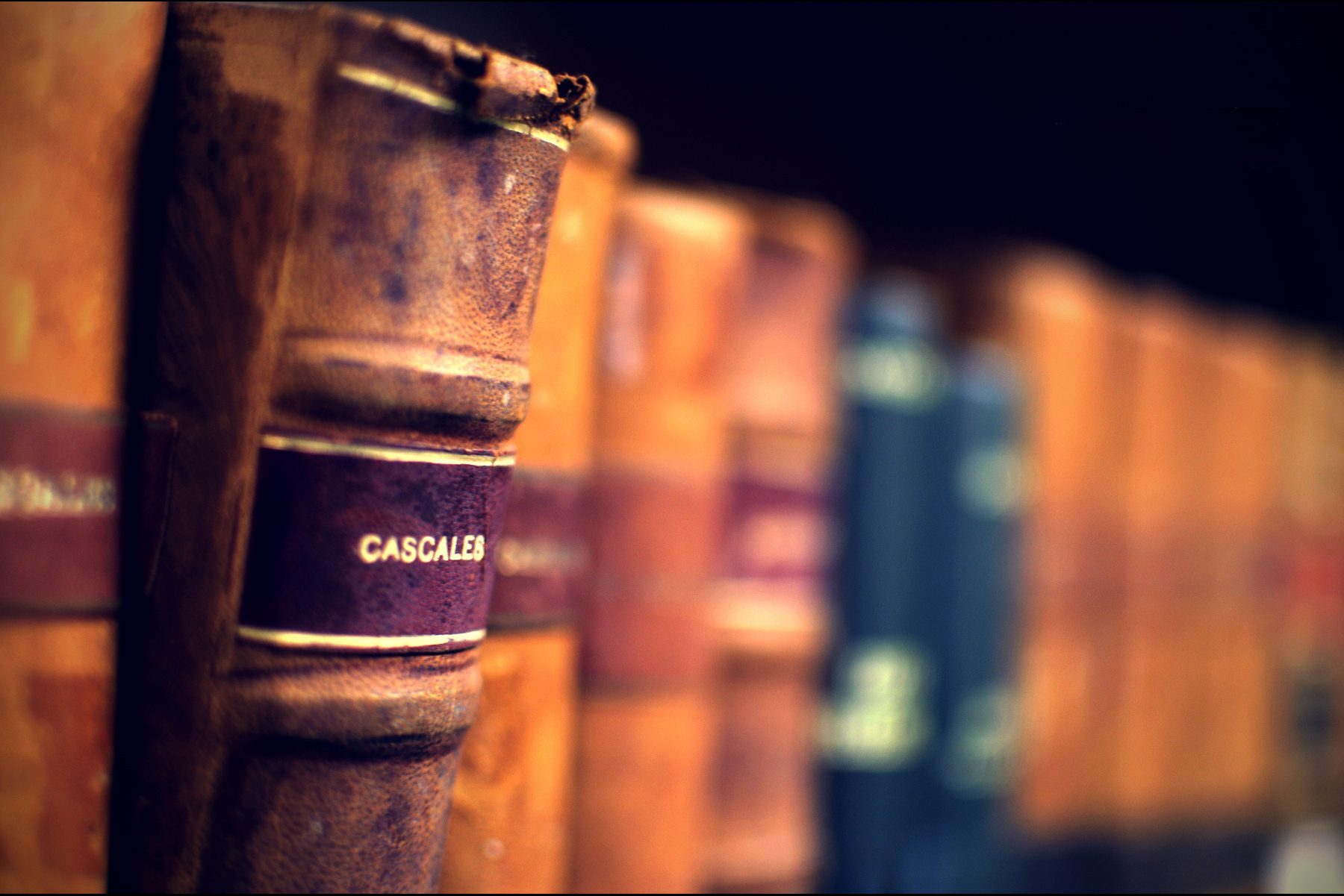 Cascales by Joaquín Alonso Arellano Ramírez