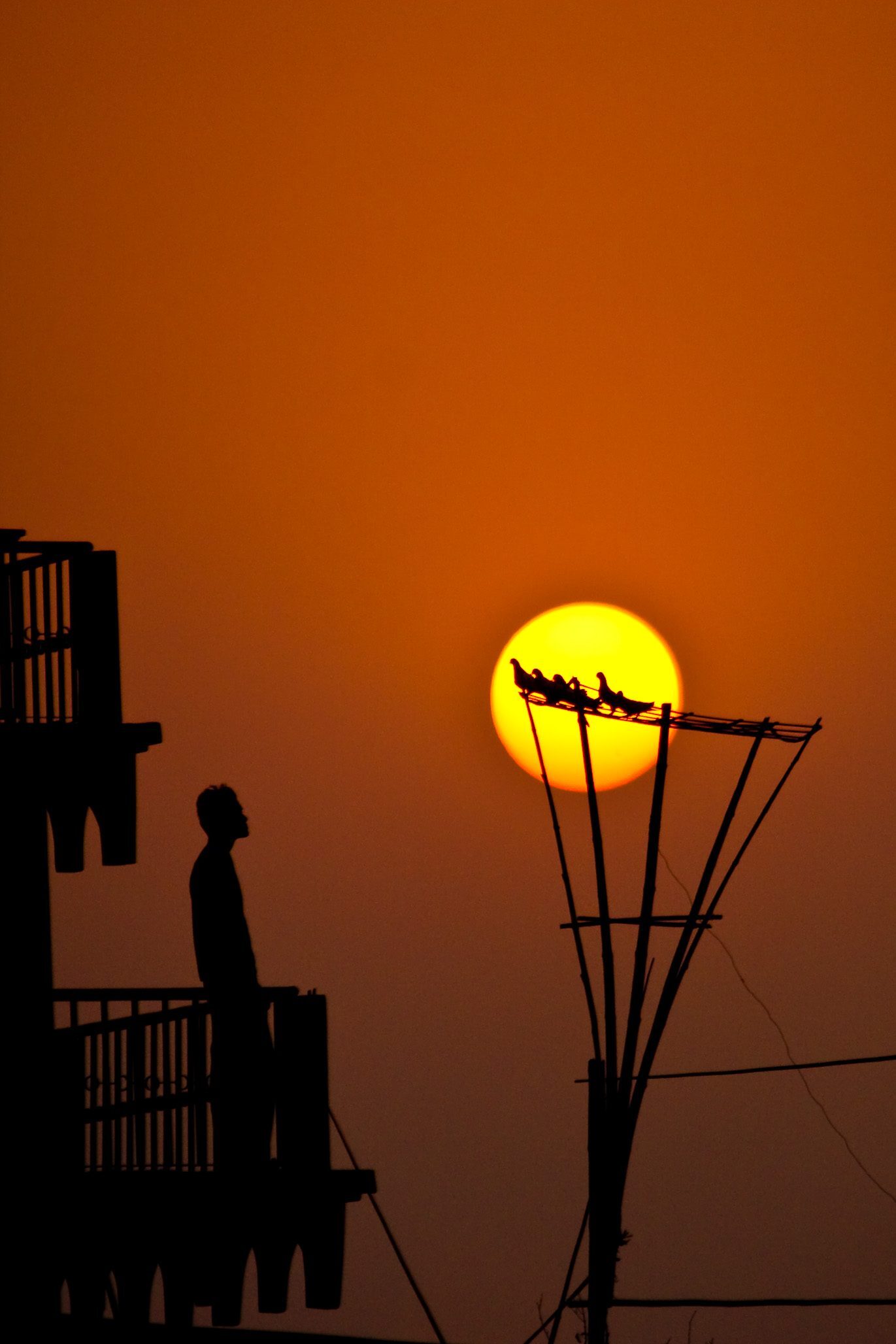 Silence by Shafiqul Islam