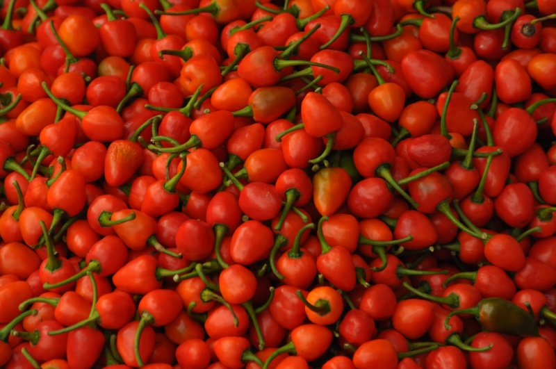 Cherry Peppers by Ryszard Wierzbicki