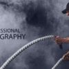 Mastering Professional Sports Photography - sports photography, online photography courses, photography education, photojournalism, photography awards