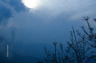 Twilight Whispers