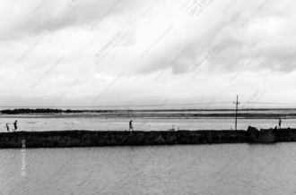 Figures on the Dividing Line