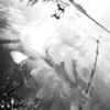 The Transient in Nature - Fine Art Photography Prints, Limited Edition Photography, Museum-Quality Photography,  Black and White Photography, Art Photography Prints
