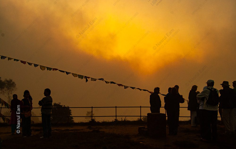 Gathering in the Golden Mist