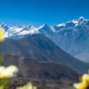 Himalayan Bloom - Fine Art Photography Print, Limited Edition Photography, Giclée Print, Landscape Photography, Himalayan Photography
