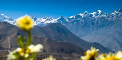 Himalayan Bloom - Fine Art Photography Print, Limited Edition Photography, Giclée Print, Landscape Photography, Himalayan Photography