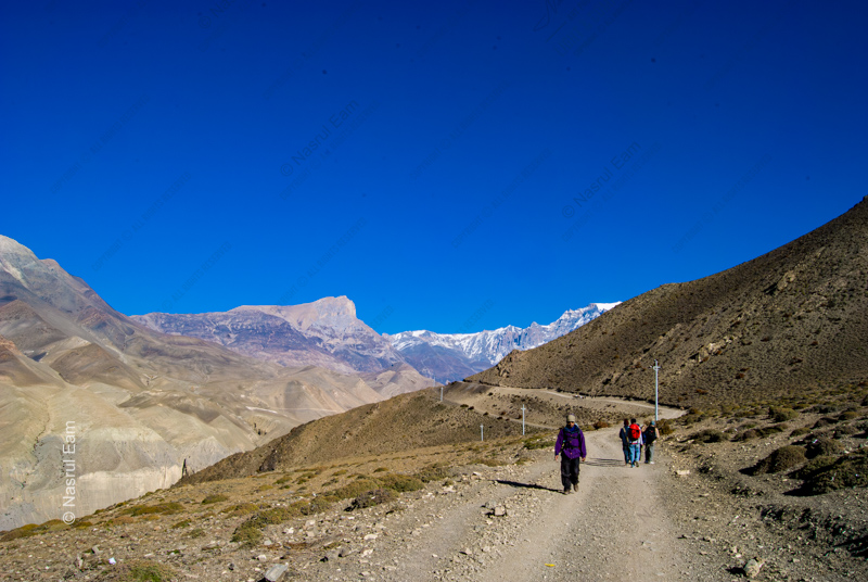 Travelers on the High Mountain Road
