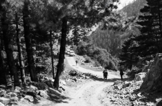 Travelers on the Mountain Road