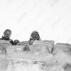 Faces Emerging from the Stone - Fine Art Photography Print, Limited Edition Photography, Museum-Quality Photography, Black and White Photography, Art Photography for Sale