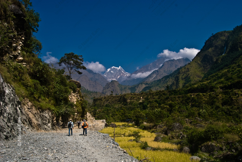 Two Figures on the Road to the Snow-Capped Mountain