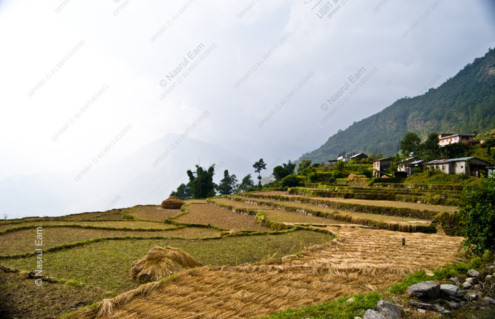 Harvested Terraces - Fine Art Photography Prints, Limited Edition Photography, Giclée Print,  Art Photography Investment, Luxury Photography Art
