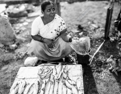 The Fishmonger's Offering - Fine Art Photography Print, Limited Edition Photography, Giclée Print,  Monochrome Photography,  Art Photography for Sale