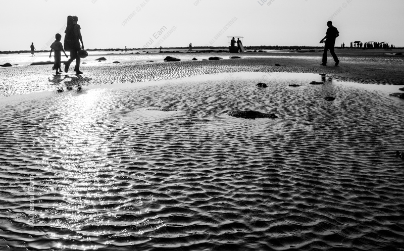 Low Tide Pilgrims