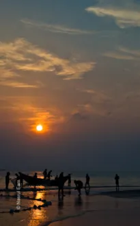 Sunset Toil