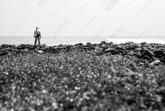 On the Rocky Shore